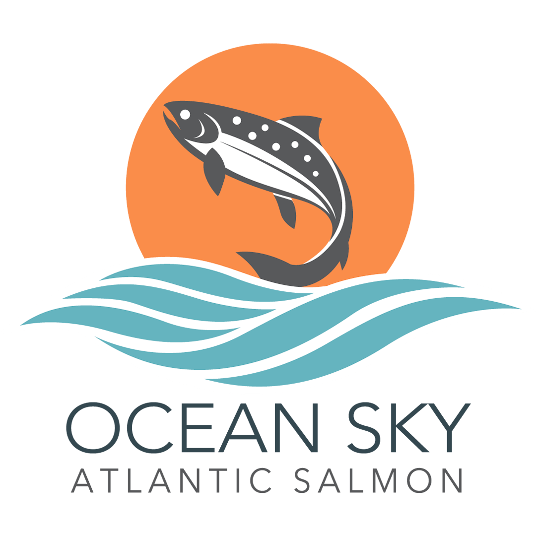 logo_Ocean-Sky_1080px